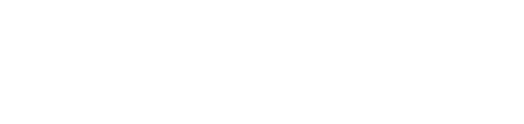 Stashie-logo-white.png