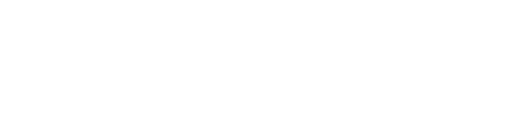 Stashie-logo-white.png